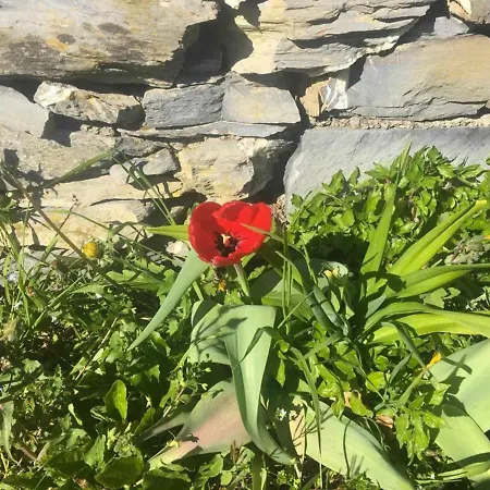 Vista Portofino Lejlighed Rapallo