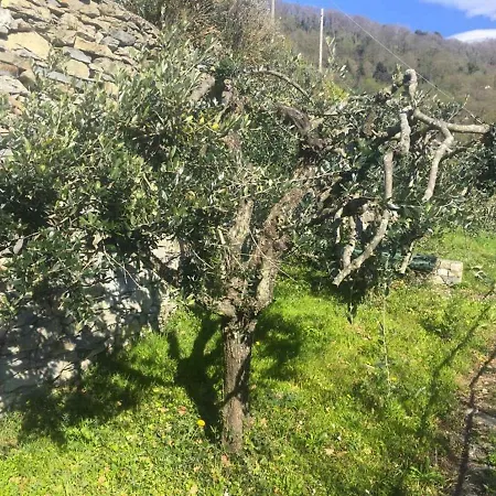 Vista Portofino *